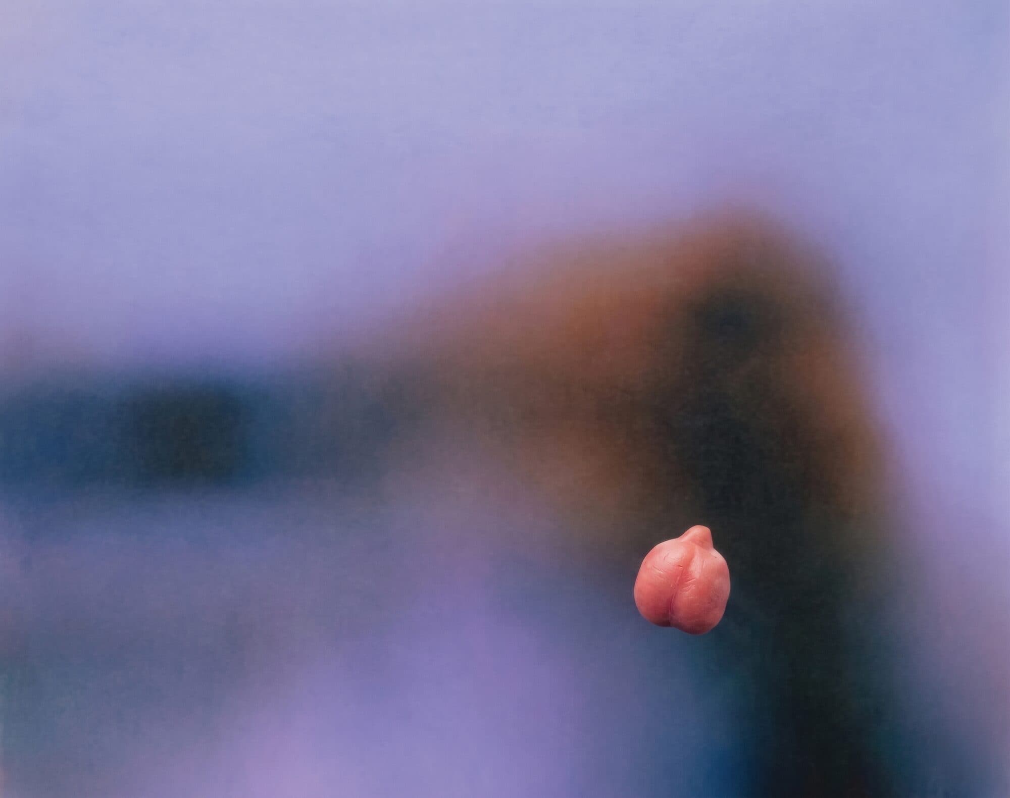 A single pink chickpea in sharp focus against a blurred violet seascape